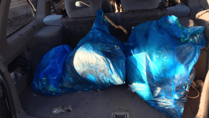 In einem geöffneten Kofferraum eines Autos befinden sich drei große, gefüllte, blaue Müllsäcke