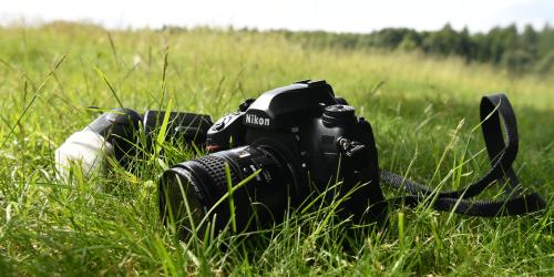 Kamera liegt im Gras
